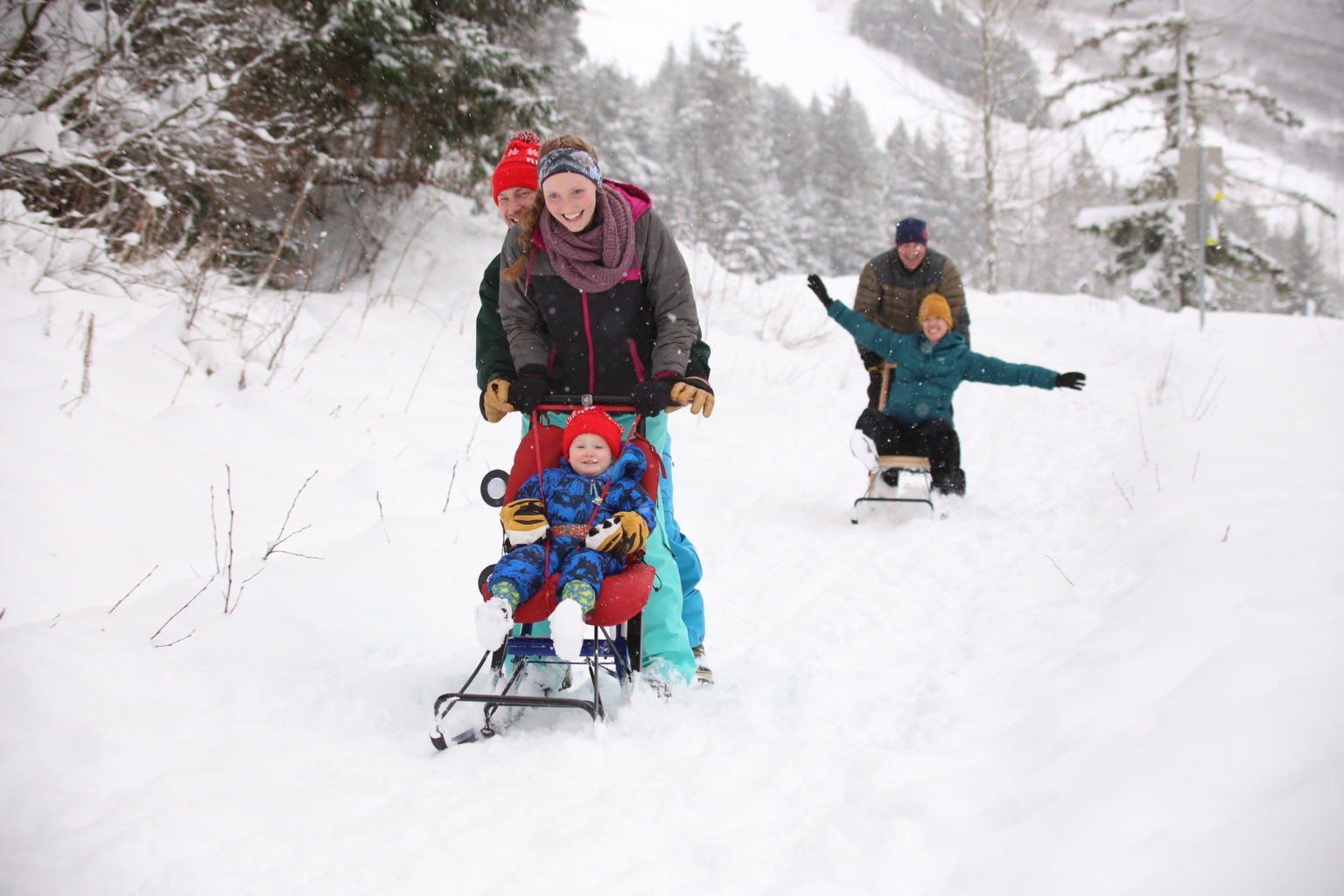 Kicksled Alaska Alaska Small Business Development Center