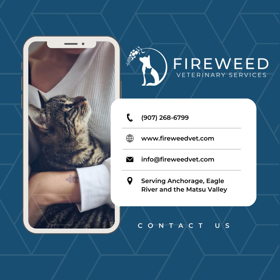 Fireweed Veterinary Services, LLC Alaska Small Business Development